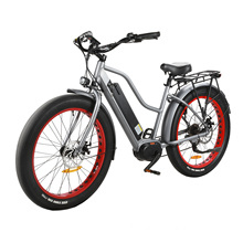 Best Price Mountain Electric Bike Aluminum Alloy Frame